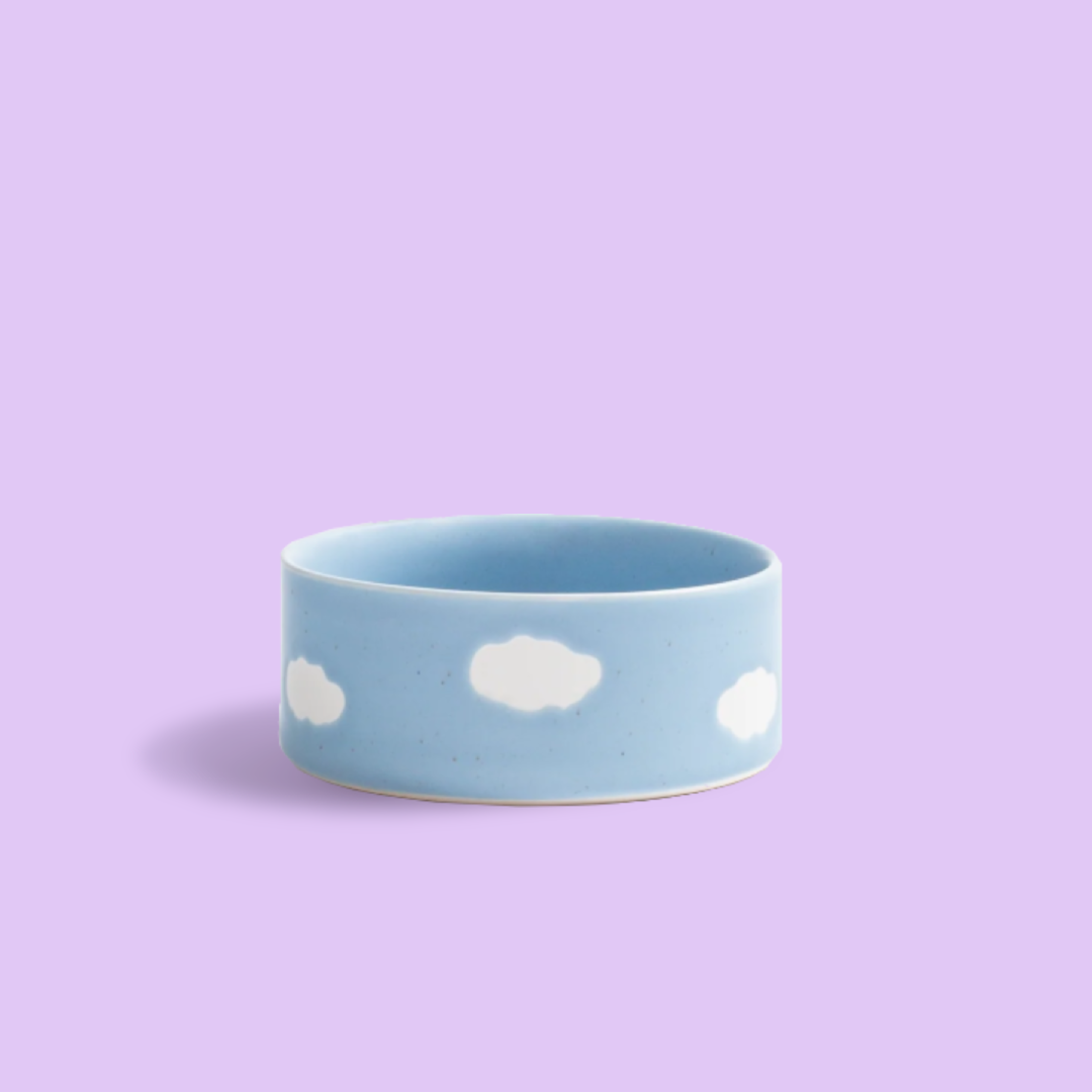 PetPwr_Bowl_Small_Cloud