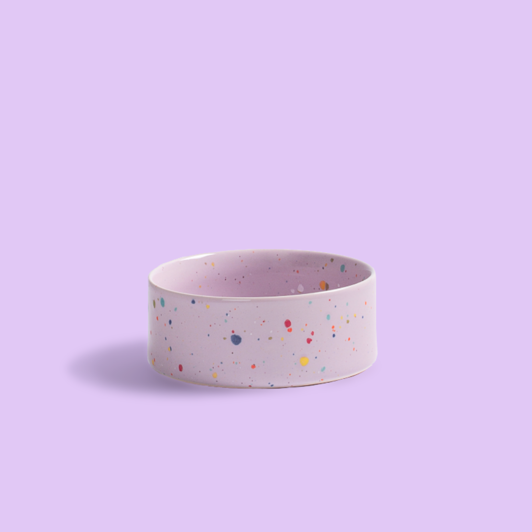 PetPwr_Bowl_Small_Lilac