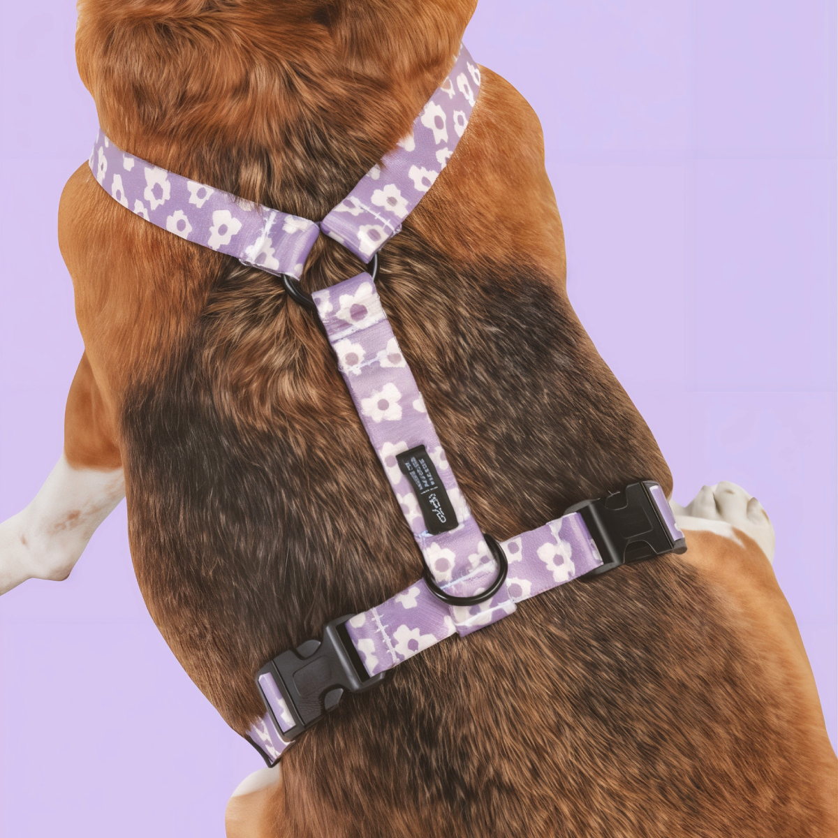PetPwr_Cafide_Flower_harness_01