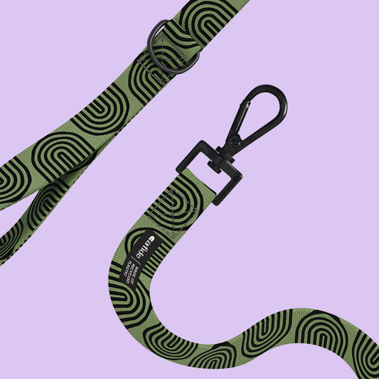 PetPwr_Cafide_Japan_Leash_01