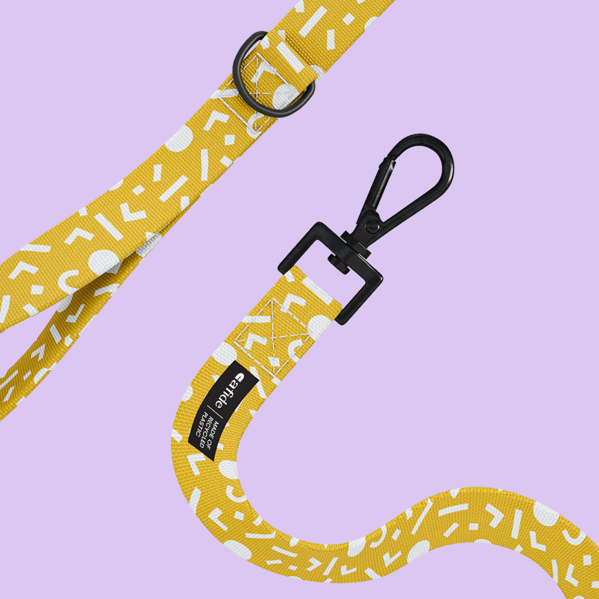 PetPwr_Cafide_Memphis_Leash_01