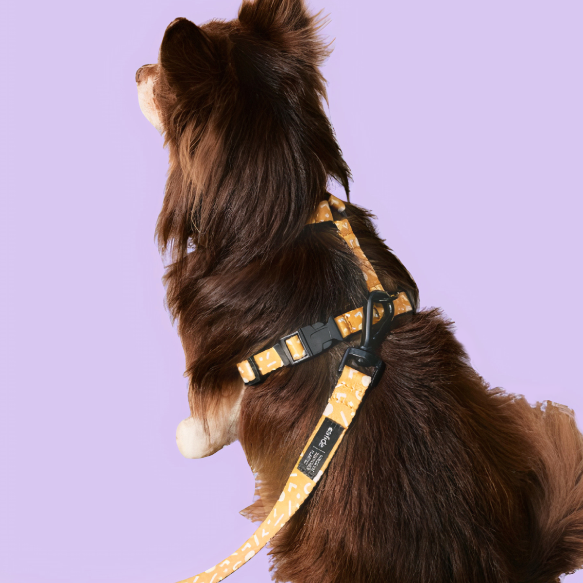 PetPwr_Cafide_Memphis_Leash_harness_02