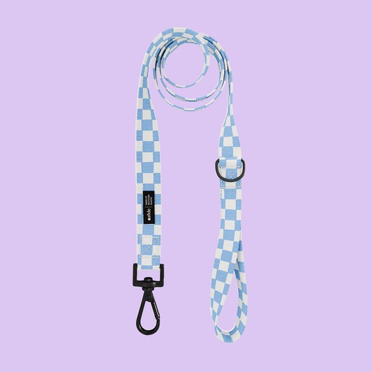PetPwr_Cafide_Vichy_Leash_02