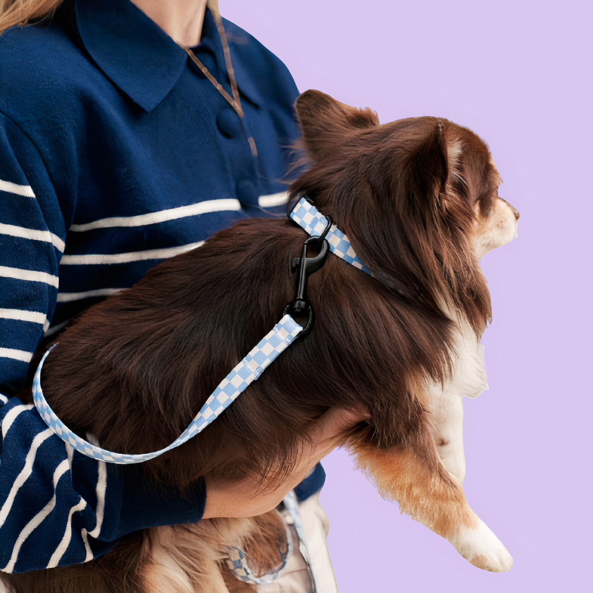 PetPwr_Cafide_Vichy_Leash_collar