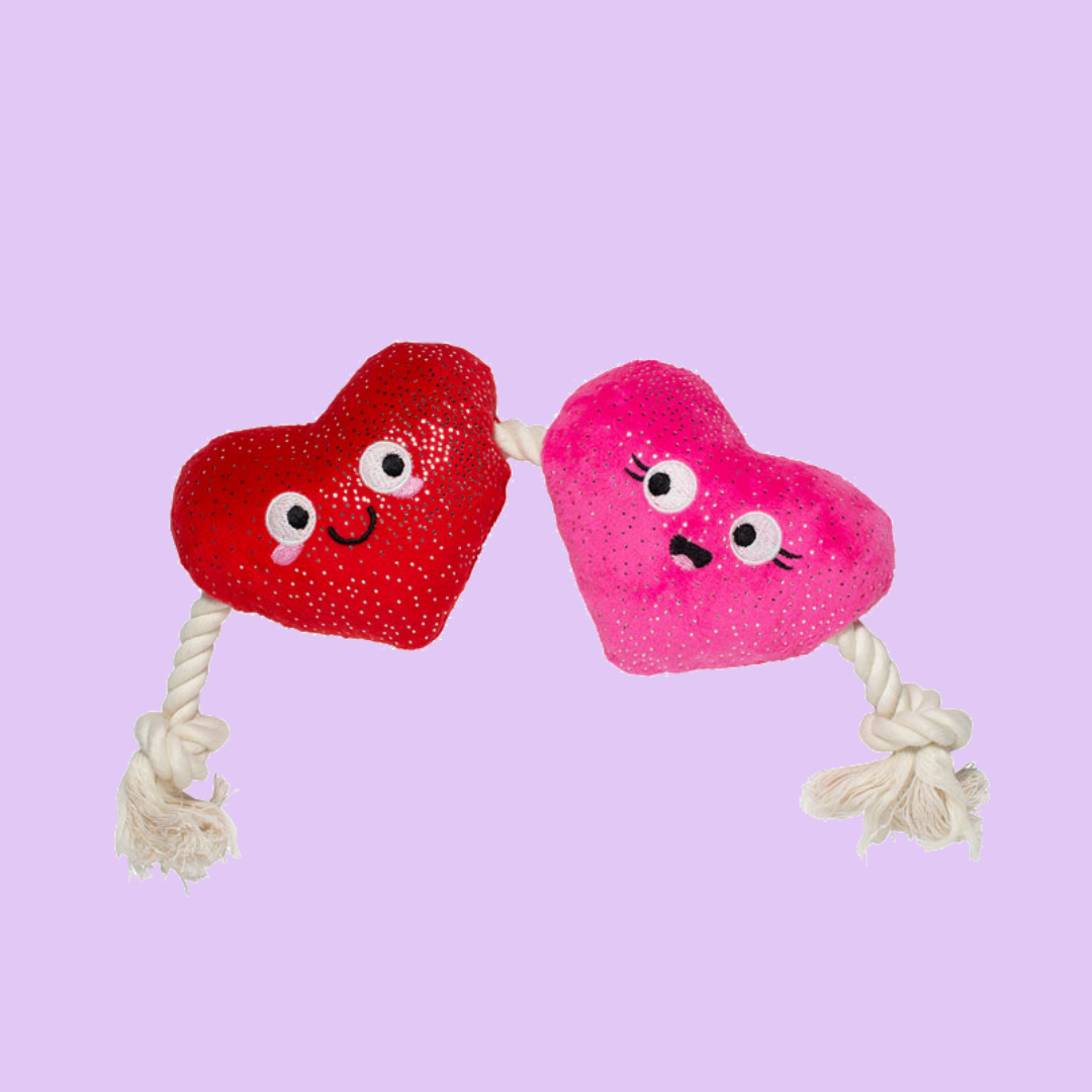 PetPwr_Toy_DobleHeart