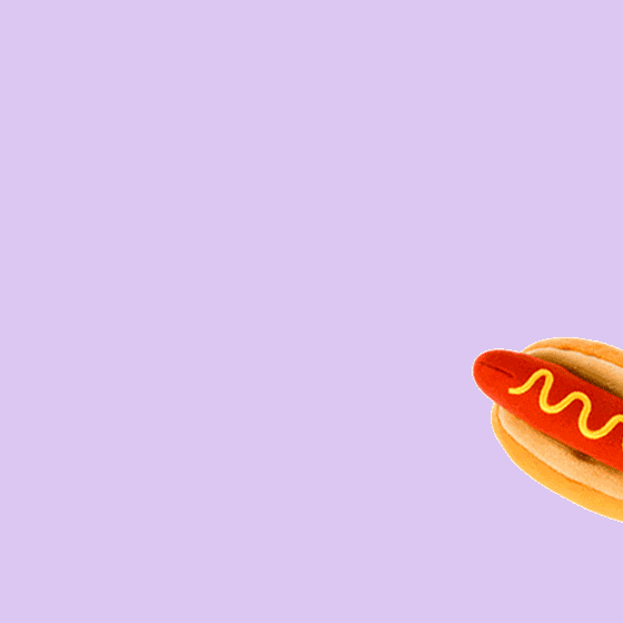 Hot Dog Toy