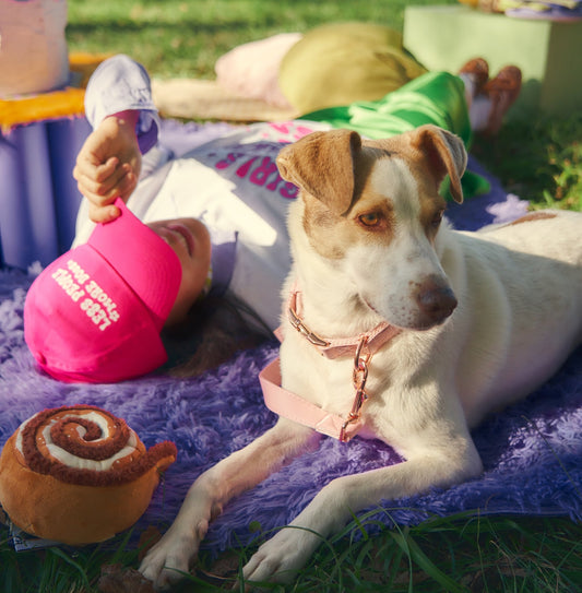 Cappellino "Less people more dogs"