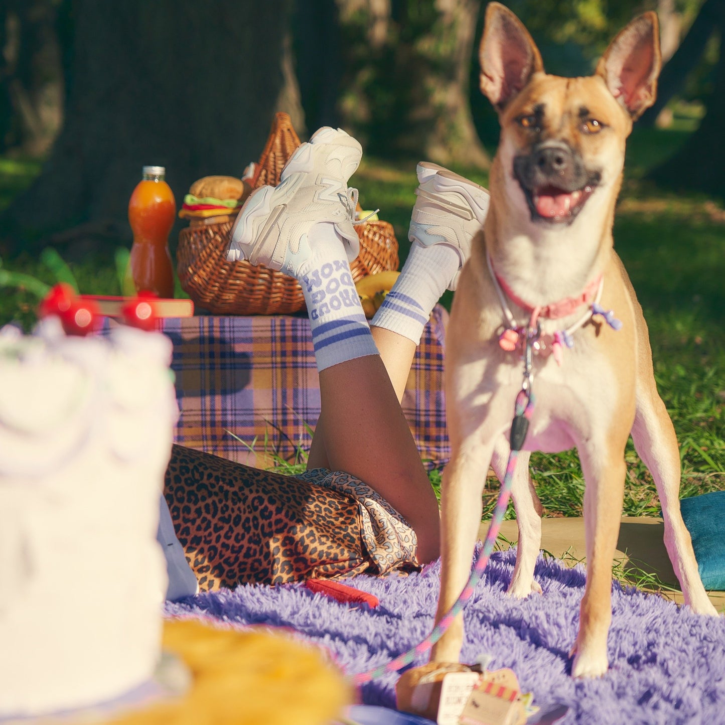 petpwr-soks-proud-dog-mom-erica-castiglioni-01