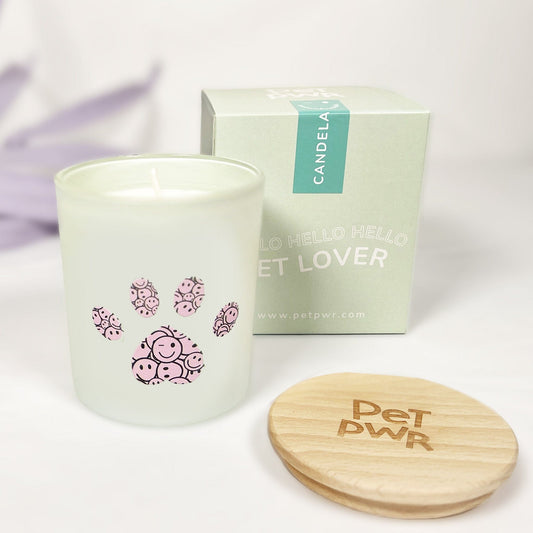 Candela verde "Zampa Smile" 😉