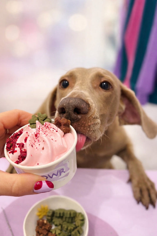 Pet Bar®: 5 motivi per attivarlo nel tuo negozio o evento