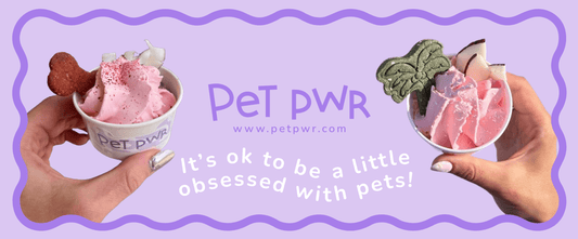 Pet Bar a Milano: il pop-up Pet Pwr in Piazza Gae Aulenti