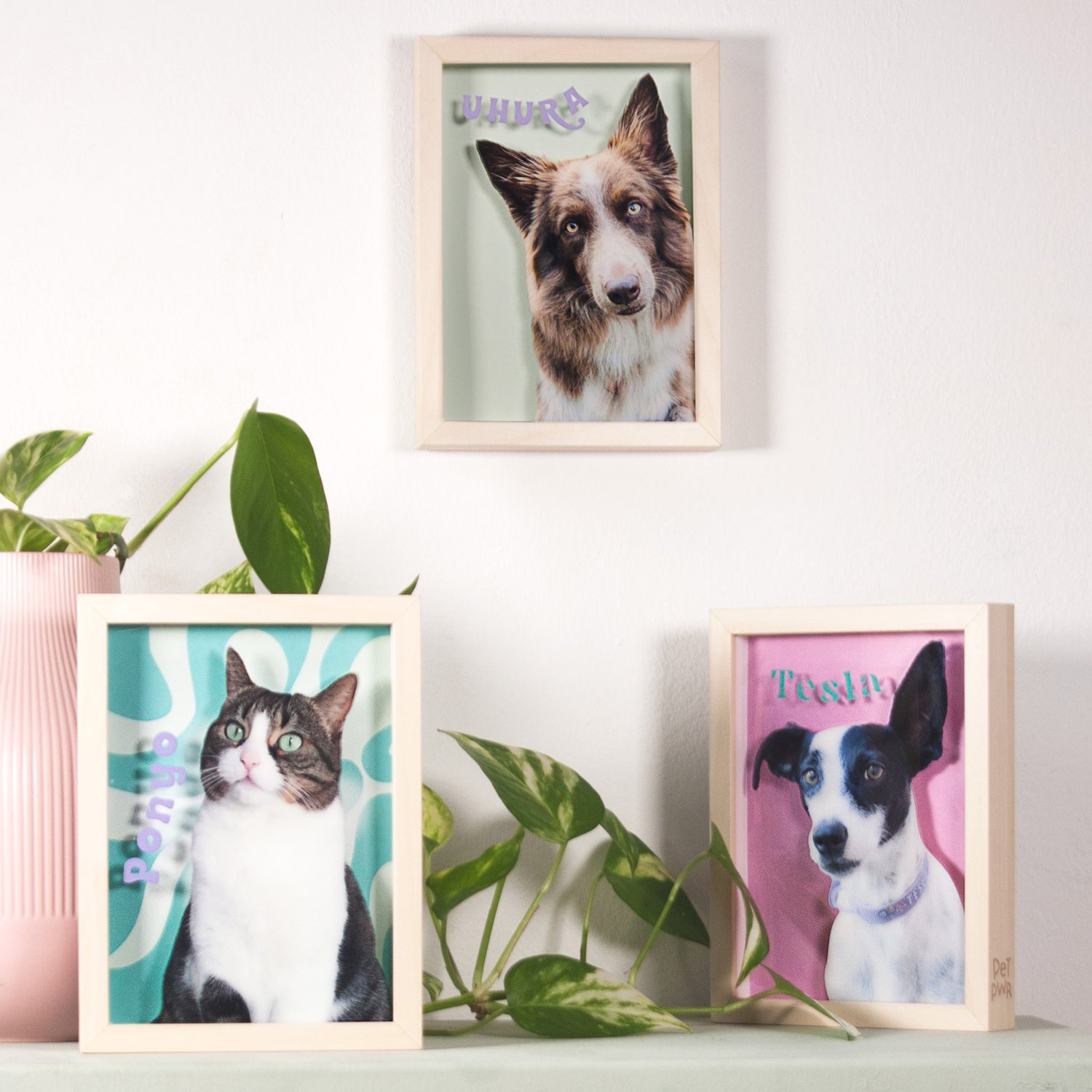 Tutti i prodotti Collezioni Pet Pwr 