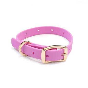 Pet Pwr_Collare rosa XS