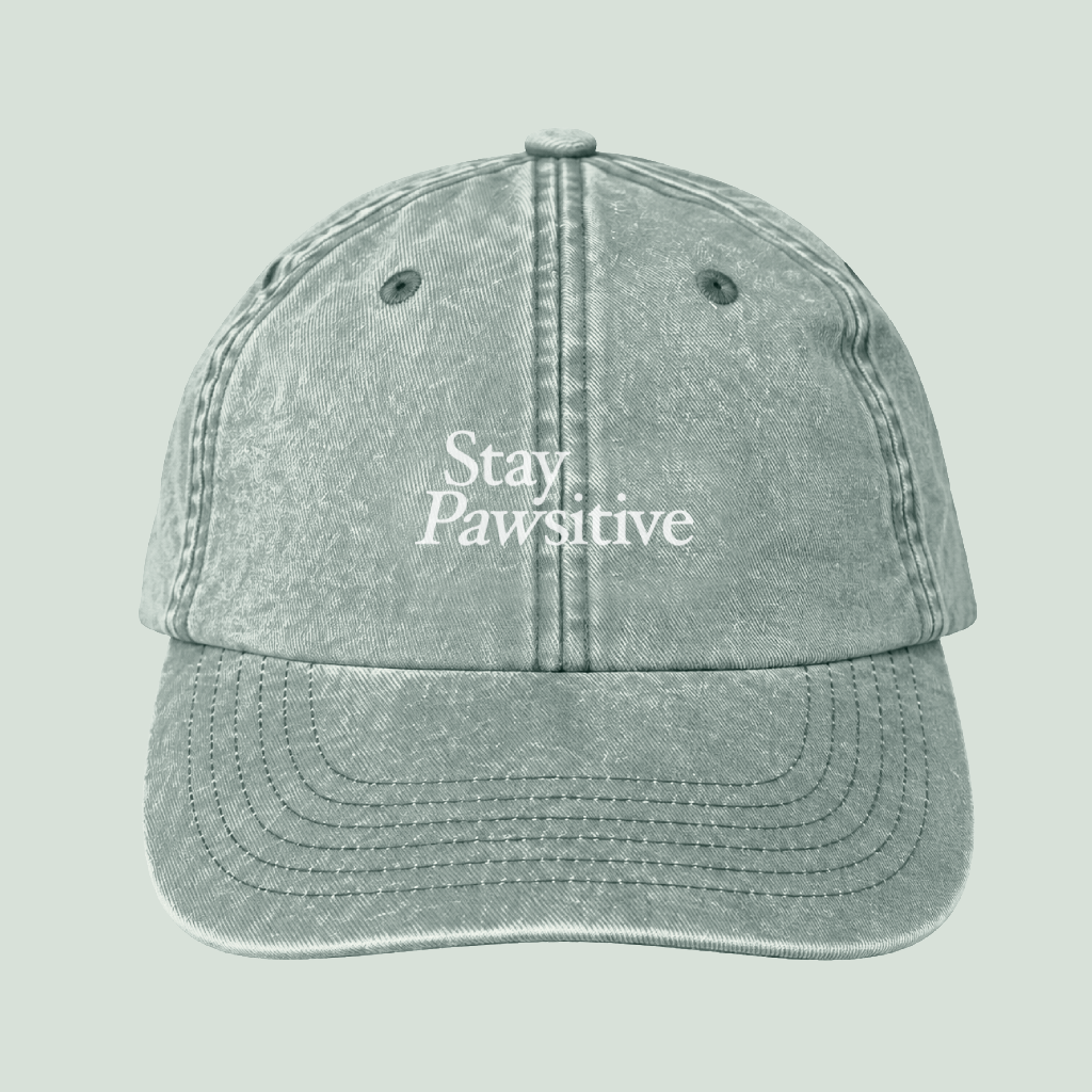 Cappellino "Stay Pawsitive"