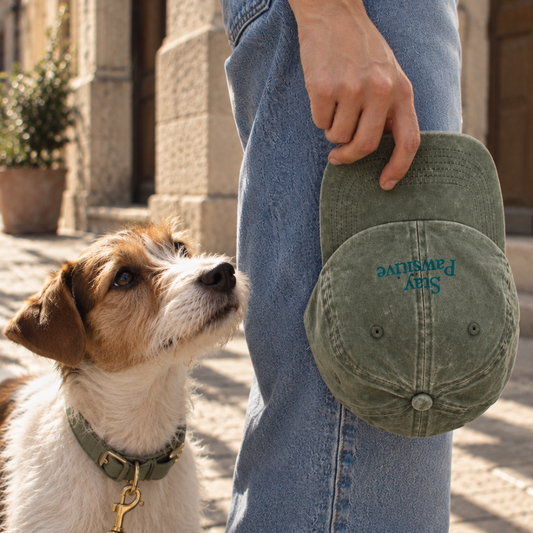 Cappellino "Stay Pawsitive"