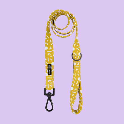 PetPwr_Cafide_Memphis_Leash_02