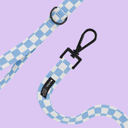 PetPwr_Cafide_Vichy_Leash_01