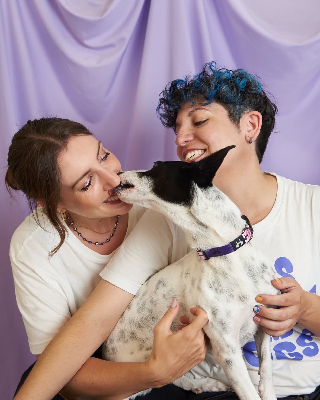 Pet_Pwr_-_AnnaMartinaTesla