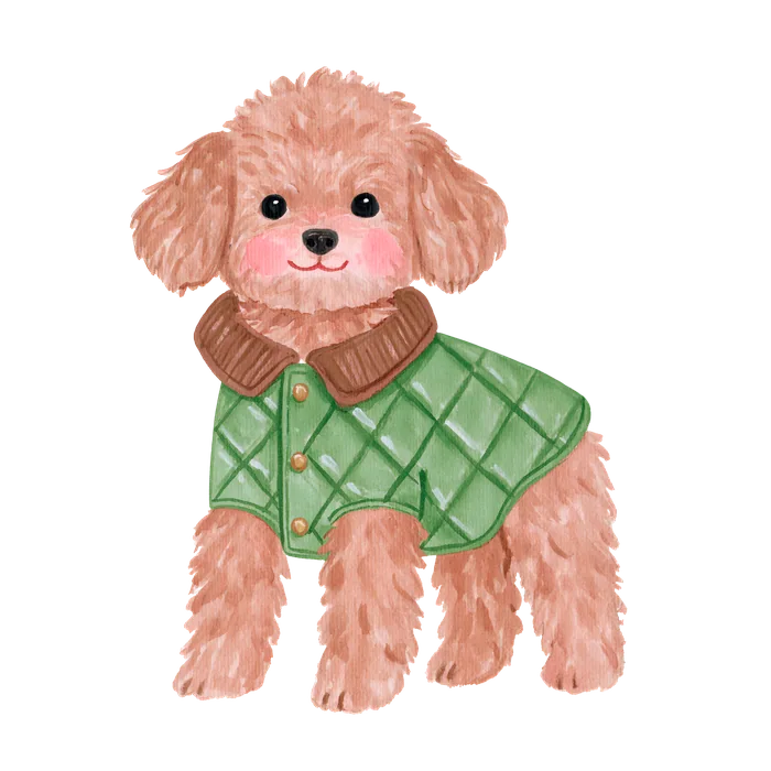 Cagnolino 11