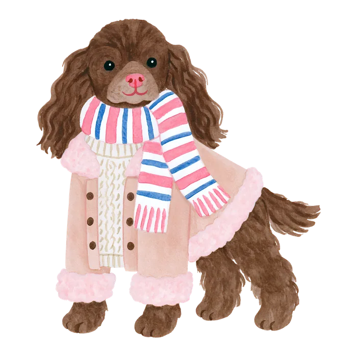 Cagnolino 24