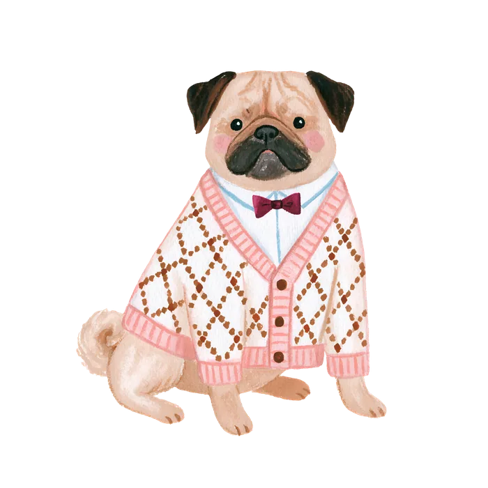 Cagnolino 25